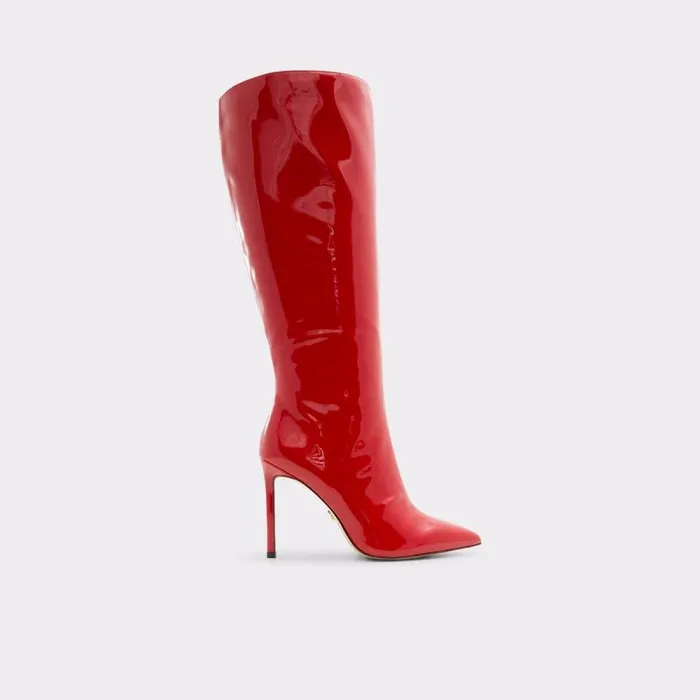 Boots Women ALDO AgatheaWc KneeHigh Boot