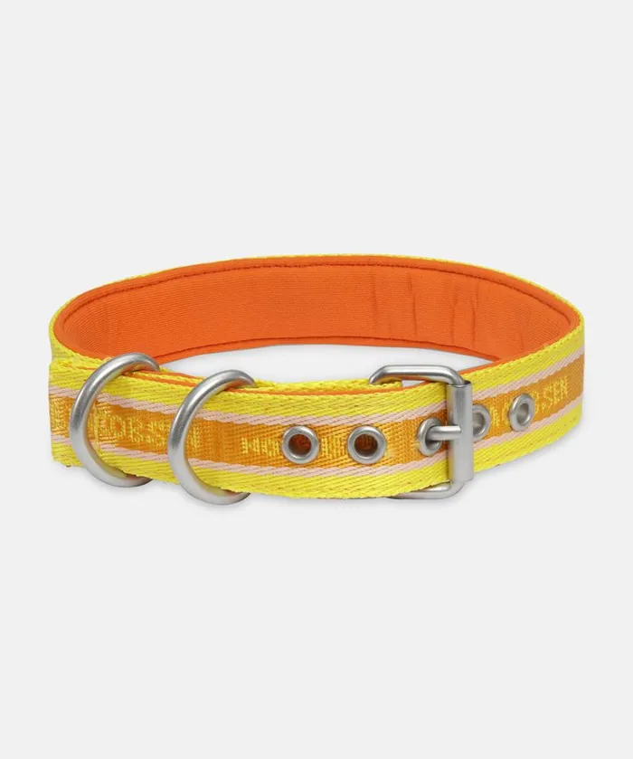 Dog Collar Small 8211 Sunbeam Accessories Ilse Jacobsen Vov and Vuf