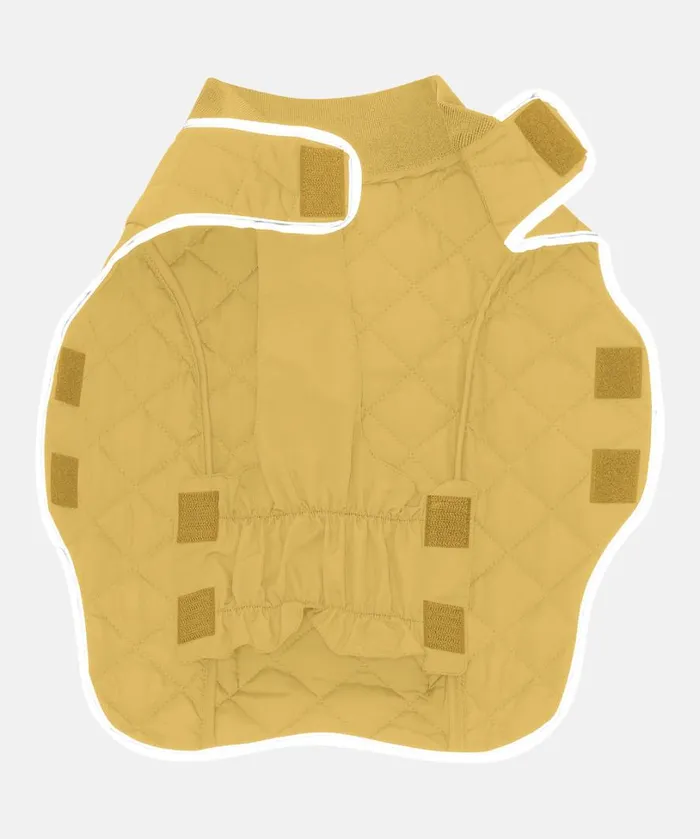 Dog Quilt Coat 8211 Misted Yellow Accessories Ilse Jacobsen Vov and Vuf