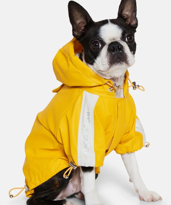 Dog Rain Cover 8211 Cyber Yellow Accessories Ilse Jacobsen Vov and Vuf