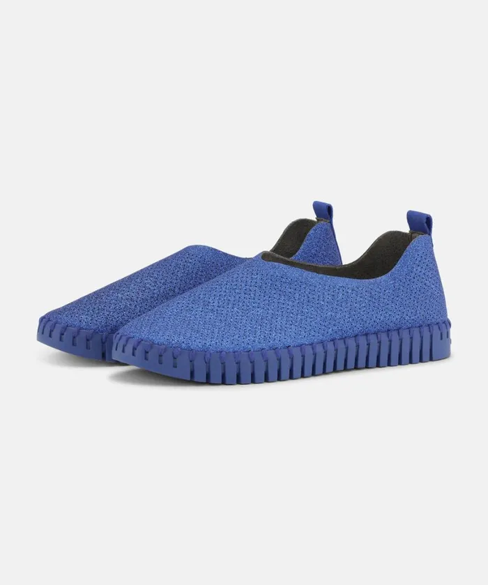 Flats 8211 Blue Web Blue Web Shoes Ilse Jacobsen Tulip Flats Flats 8211 Blue Web Blue Web Shoes Ilse Jacobsen Tulip Flats