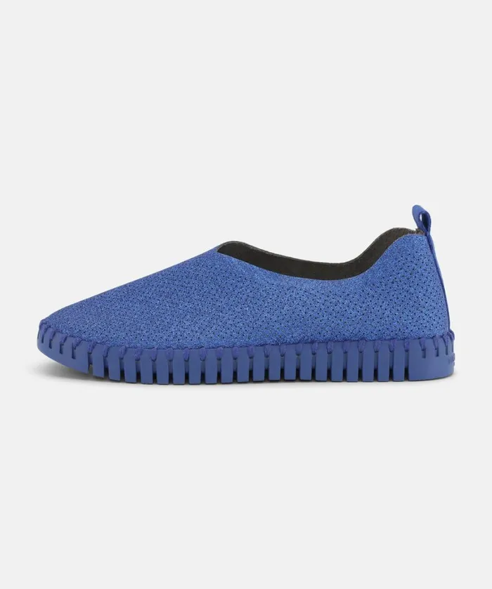 Flats 8211 Blue Web Blue Web Shoes Ilse Jacobsen Tulip Flats Flats 8211 Blue Web Blue Web Shoes Ilse Jacobsen Tulip Flats