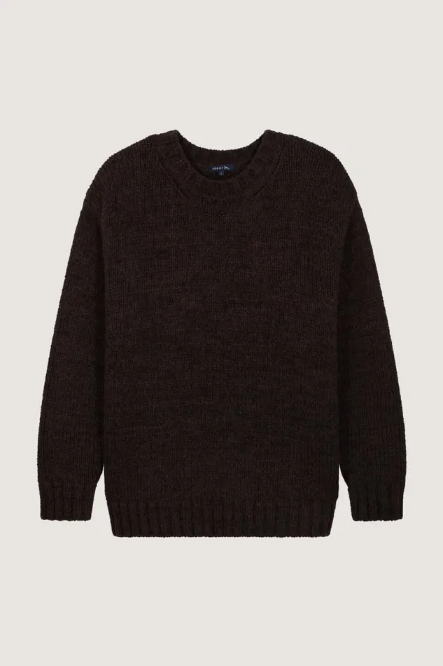 Jumpers and Cardigans Women Soeur VADIM JUMPER Brown