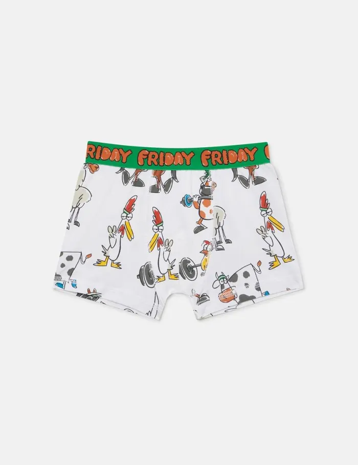 Kids 7 Pack Of Farmyard Printed Boxers Multicolour Stella McCartney Shoes And Accessories
