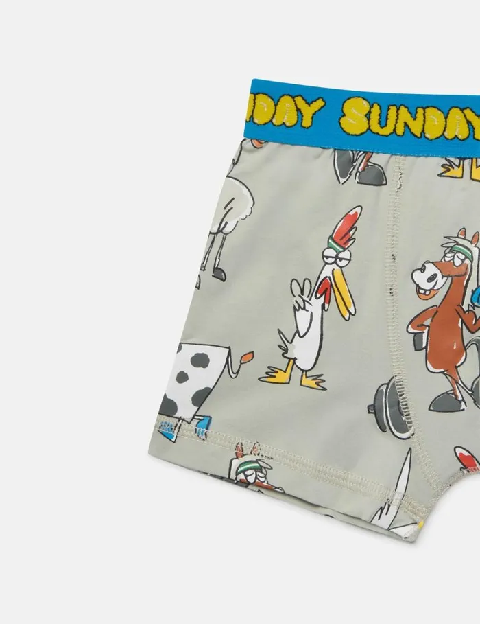 Kids 7 Pack Of Farmyard Printed Boxers Multicolour Stella McCartney Shoes And Accessories