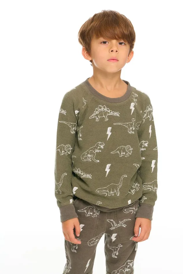 Kids Boys Chaser Brand Dino Pullover