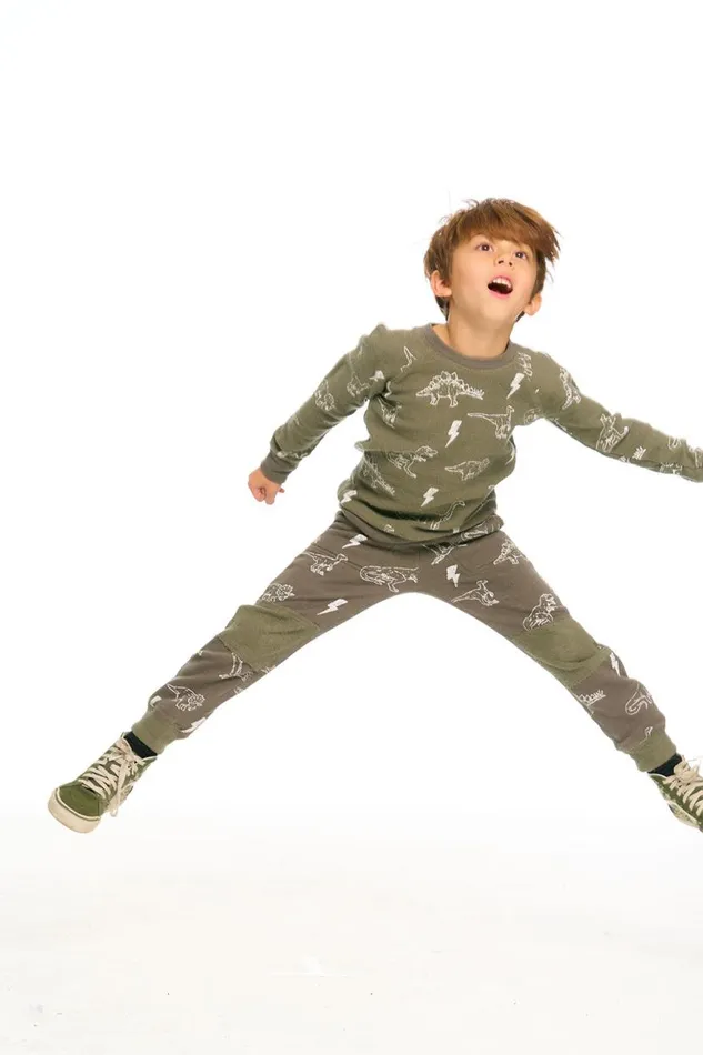 Kids Boys Chaser Brand Dino Pullover