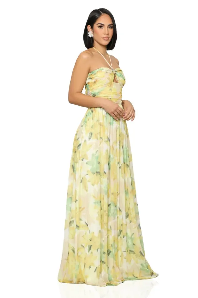 Lilly039s Kloset Dresses Women Botanical Halter Top Maxi Dress
