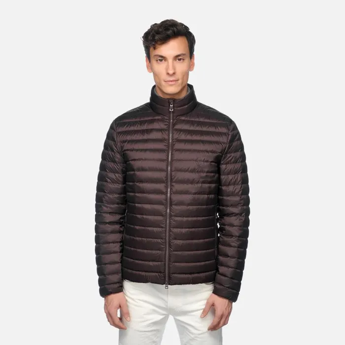 Man Geox Down Jackets WARRENS MAN Chocolate Plum Short Down Jacket Chocolate Plum