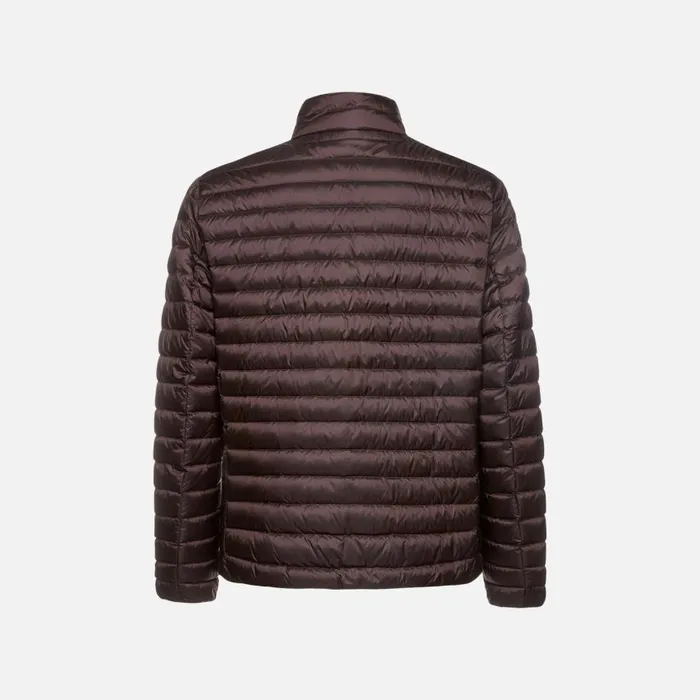 Man Geox Down Jackets WARRENS MAN Chocolate Plum Short Down Jacket Chocolate Plum