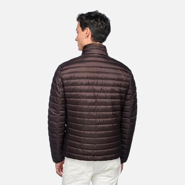 Man Geox Down Jackets WARRENS MAN Chocolate Plum Short Down Jacket Chocolate Plum