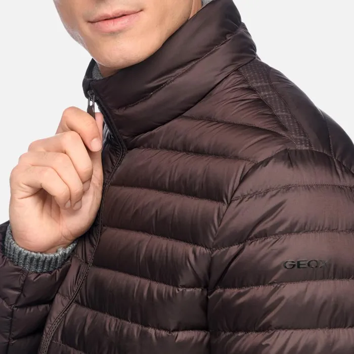 Man Geox Down Jackets WARRENS MAN Chocolate Plum Short Down Jacket Chocolate Plum