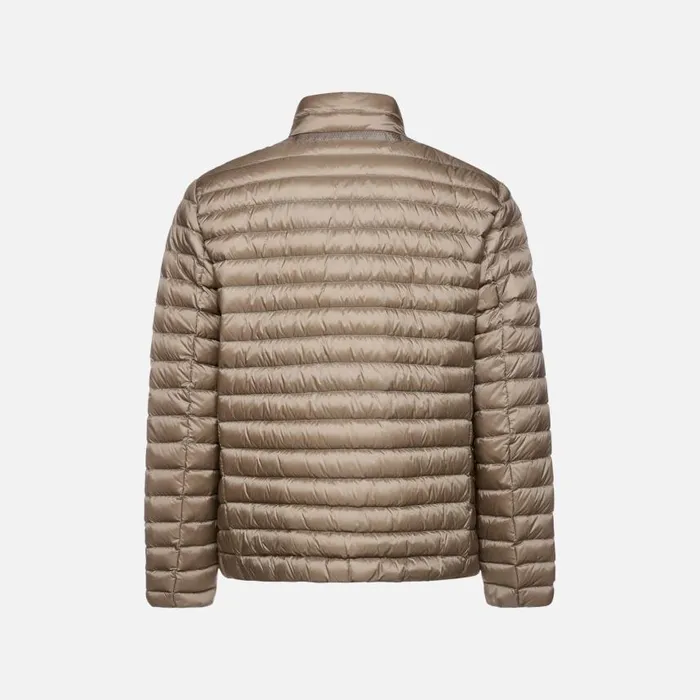Man Geox Down Jackets WARRENS MAN Fallen Rock Short Down Jacket Fallen Rock