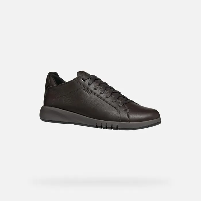 Man Geox Sneakers AERANTIS MAN Coffee Leather Shoes Coffee