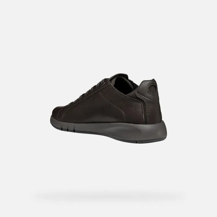 Man Geox Sneakers AERANTIS MAN Coffee Leather Shoes Coffee