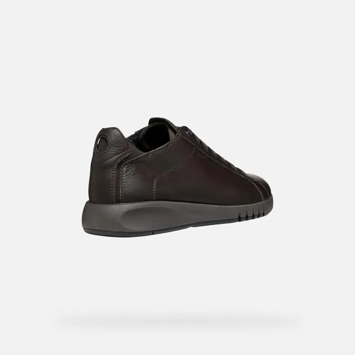 Man Geox Sneakers AERANTIS MAN Coffee Leather Shoes Coffee
