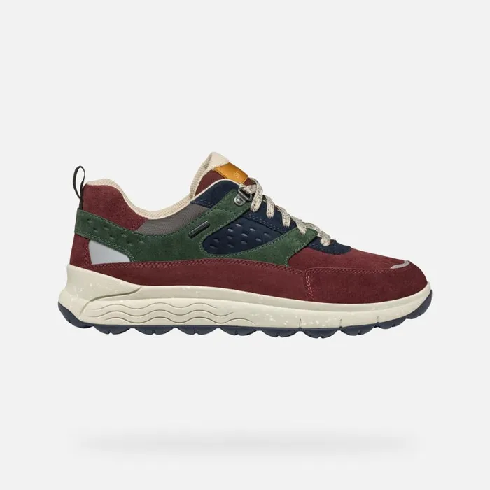 Man Geox Sneakers SPHERICA 4X4 ABX MAN WineDark Green Waterproof Trainers Winedark Green