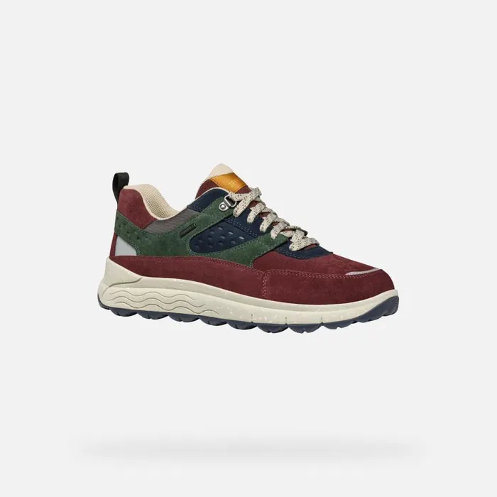 Man Geox Sneakers SPHERICA 4X4 ABX MAN WineDark Green Waterproof Trainers Winedark Green