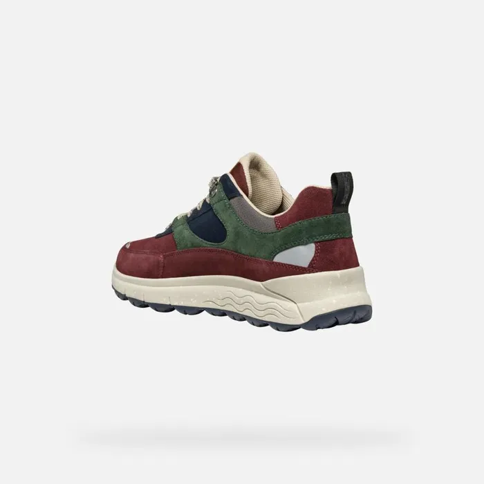 Man Geox Sneakers SPHERICA 4X4 ABX MAN WineDark Green Waterproof Trainers Winedark Green