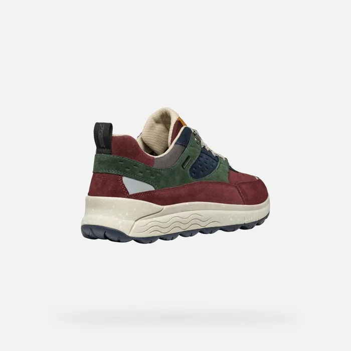 Man Geox Sneakers SPHERICA 4X4 ABX MAN WineDark Green Waterproof Trainers Winedark Green
