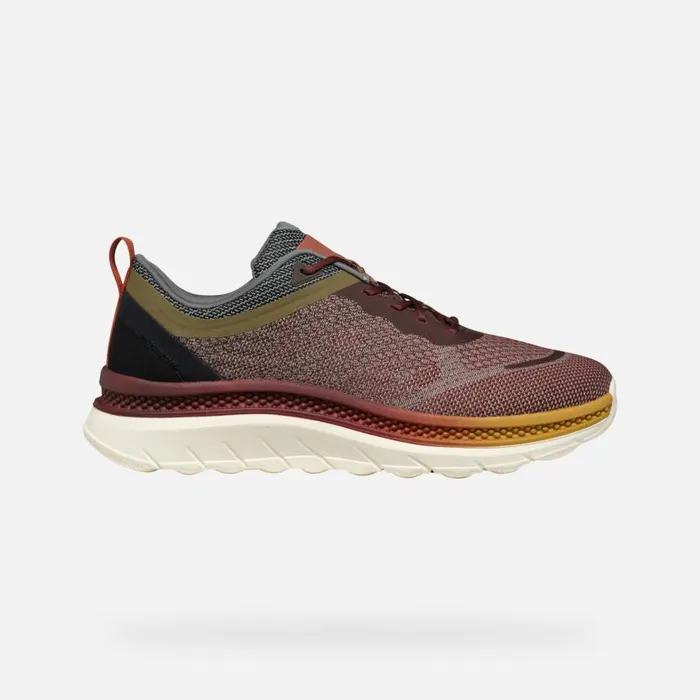 Man Geox Sneakers SPHERICA ACTIF X MAN WineDark Coffee Low Top Sneakers Winedark Coffee