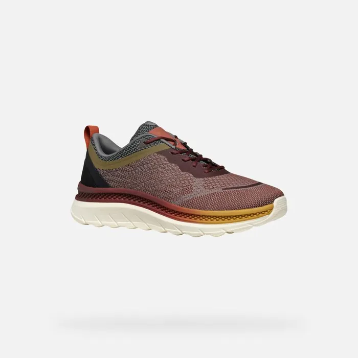 Man Geox Sneakers SPHERICA ACTIF X MAN WineDark Coffee Low Top Sneakers Winedark Coffee