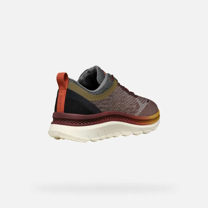 Man Geox Sneakers SPHERICA ACTIF X MAN WineDark Coffee Low Top Sneakers Winedark Coffee