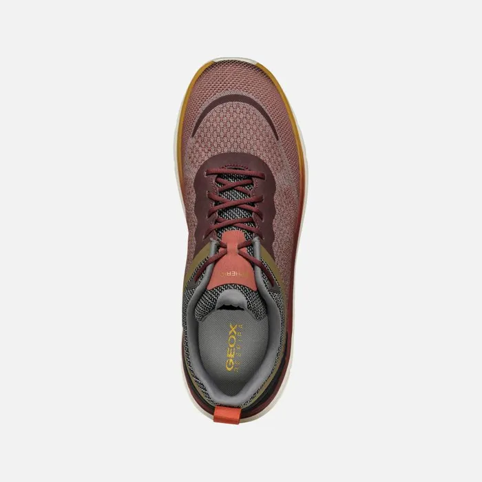 Man Geox Sneakers SPHERICA ACTIF X MAN WineDark Coffee Low Top Sneakers Winedark Coffee