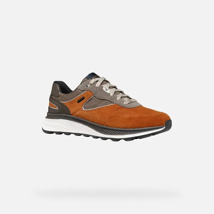 Man Geox Sneakers SPHERICA ACTIF X1 ABX MAN CognacDesert Low Top Sneakers Cognacdesert