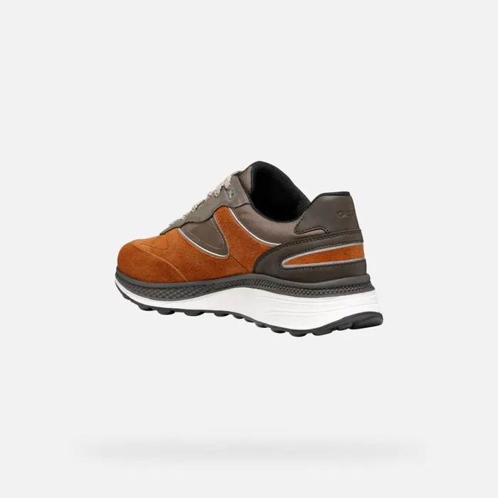 Man Geox Sneakers SPHERICA ACTIF X1 ABX MAN CognacDesert Low Top Sneakers Cognacdesert