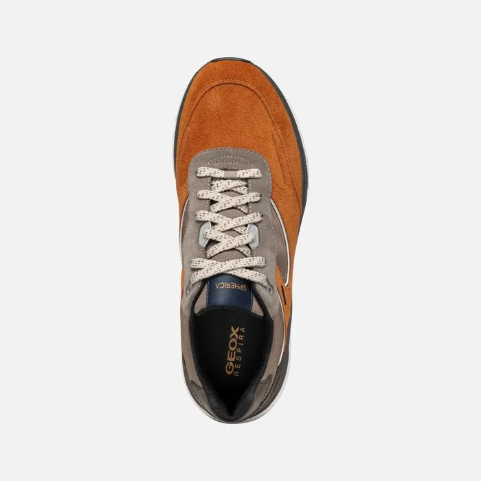 Man Geox Sneakers SPHERICA ACTIF X1 ABX MAN CognacDesert Low Top Sneakers Cognacdesert