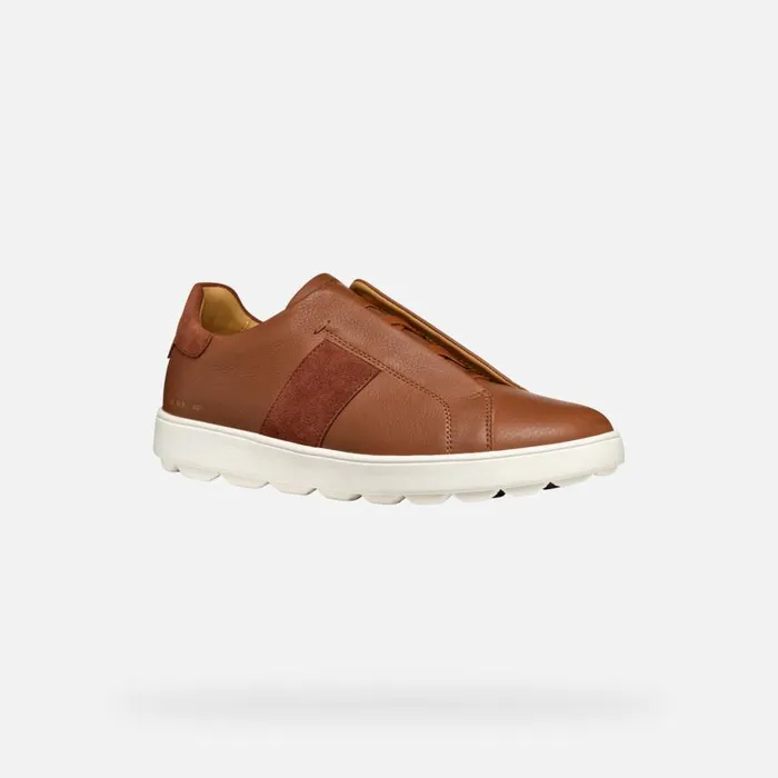 Man Geox Sneakers SPHERICA ECUB1 MAN Light Brown Low Top Sneakers Light Brown