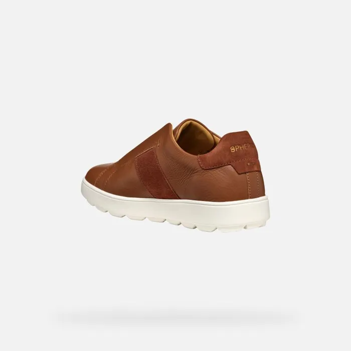 Man Geox Sneakers SPHERICA ECUB1 MAN Light Brown Low Top Sneakers Light Brown