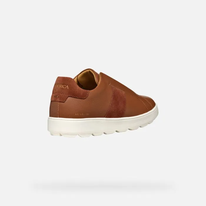 Man Geox Sneakers SPHERICA ECUB1 MAN Light Brown Low Top Sneakers Light Brown