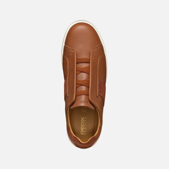 Man Geox Sneakers SPHERICA ECUB1 MAN Light Brown Low Top Sneakers Light Brown