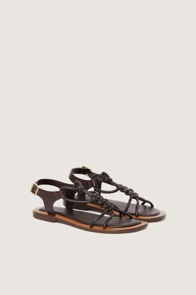 Shoes Women Soeur TINY SANDALS Dark Brown