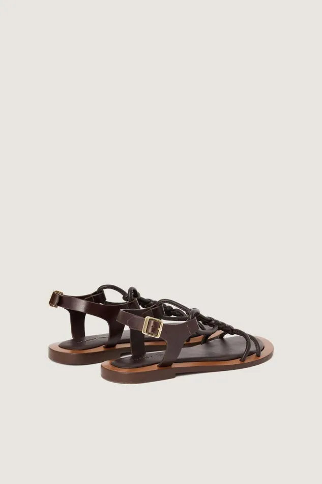 Shoes Women Soeur TINY SANDALS Dark Brown