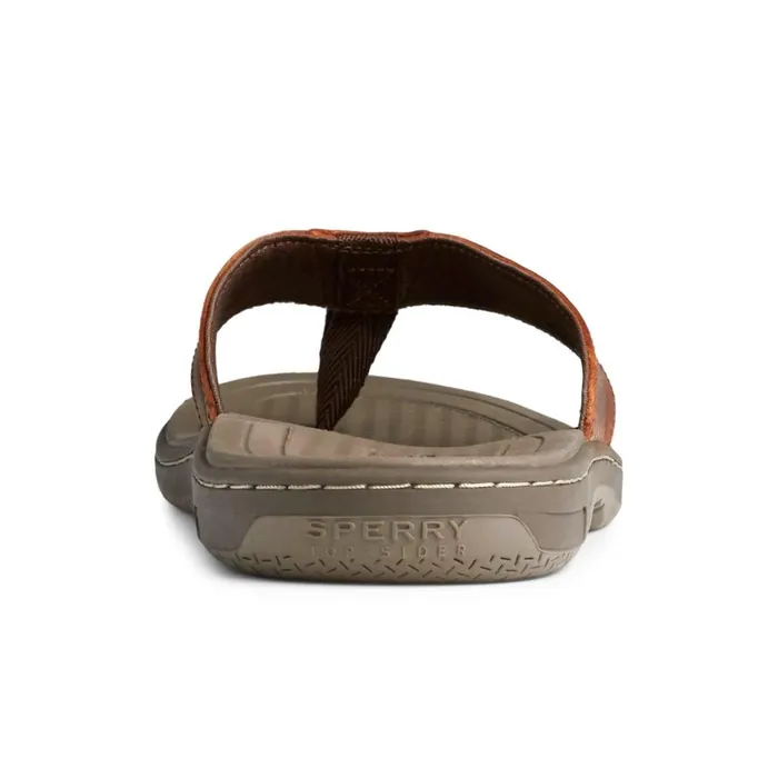 Sperry Havasu Perf Flip Flop Brown Leather Perf Men Sandals