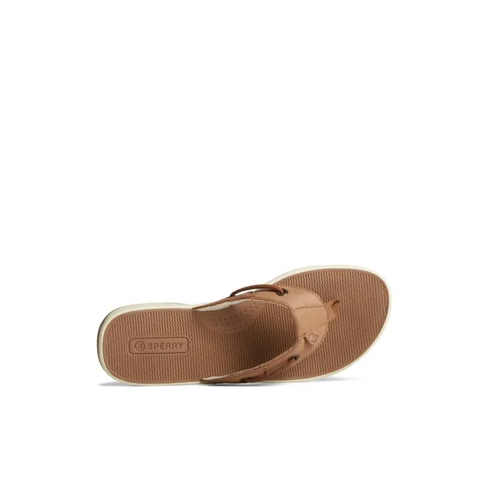 Sperry Seafish Leather Flip Flop Dark Beige Women Sandals