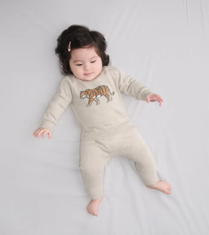Sweaters Baby and Toddler Hatley Baby Boys Little Tiger Pullover Sweater and Pants
