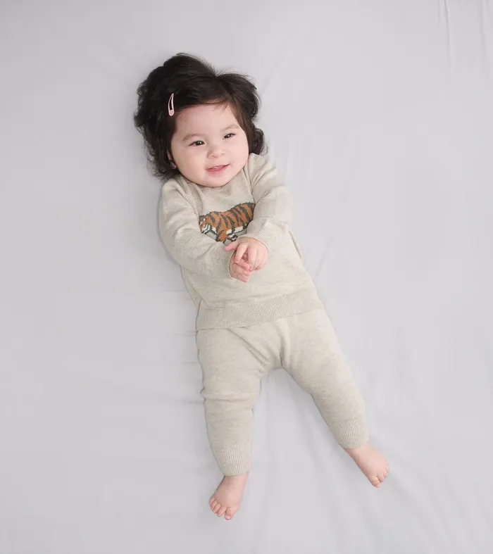 Sweaters Baby and Toddler Hatley Baby Boys Little Tiger Pullover Sweater and Pants