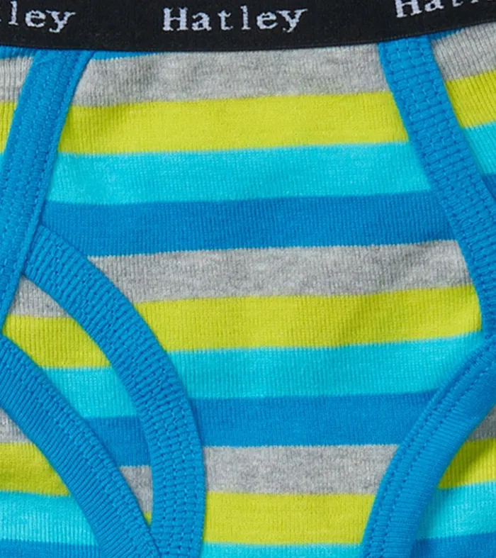 Underwear Boys Hatley Boys Stripes 3 Pack Classic Briefs