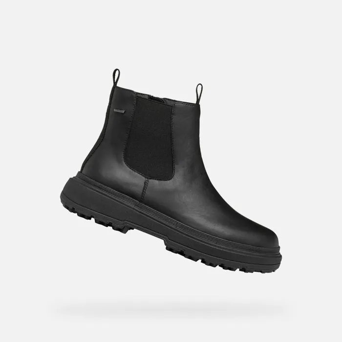 Woman Geox Ankle Boots LAMIDIE GRIP ABX WOMAN Black Waterproof Ankle Boots Black