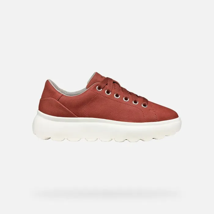 Woman Geox Sneakers SPHERICA EC41 WOMAN Old Rose Low Top Sneakers Old Rose