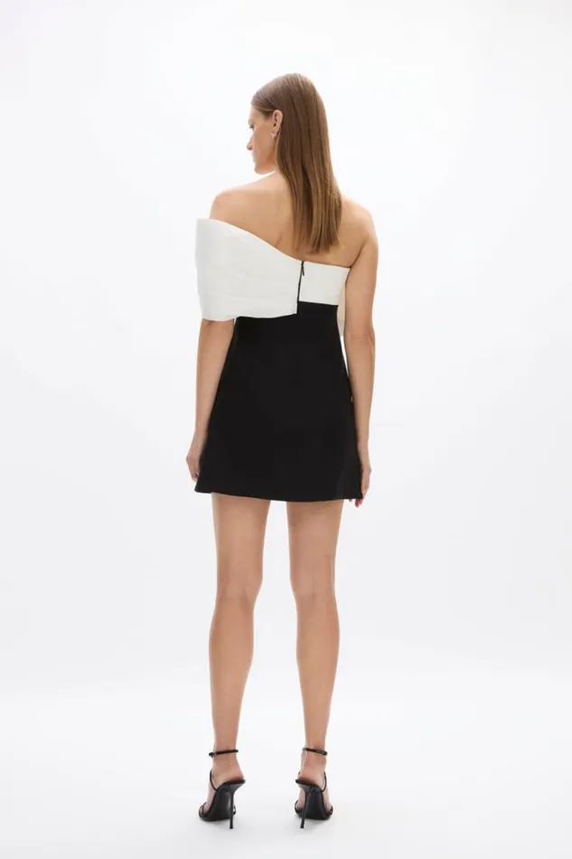Women Black Dresses Rachel Gilbert Kace Mini In BlackIvory Women Black Dresses Rachel Gilbert Kace Mini In BlackIvory