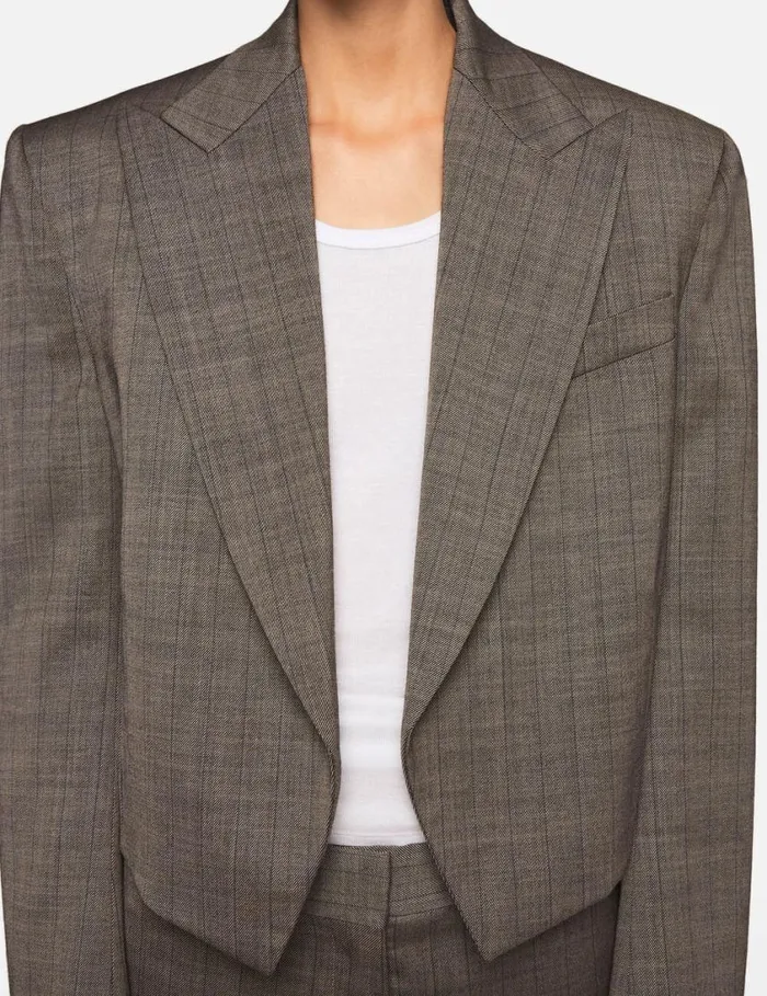 Women Cropped Pinstripe Wool Blazer Stone Pinstripe Stella McCartney Coats And Jackets Women Cropped Pinstripe Wool Blazer Stone Pinstripe Stella McCartney Coats And Jackets