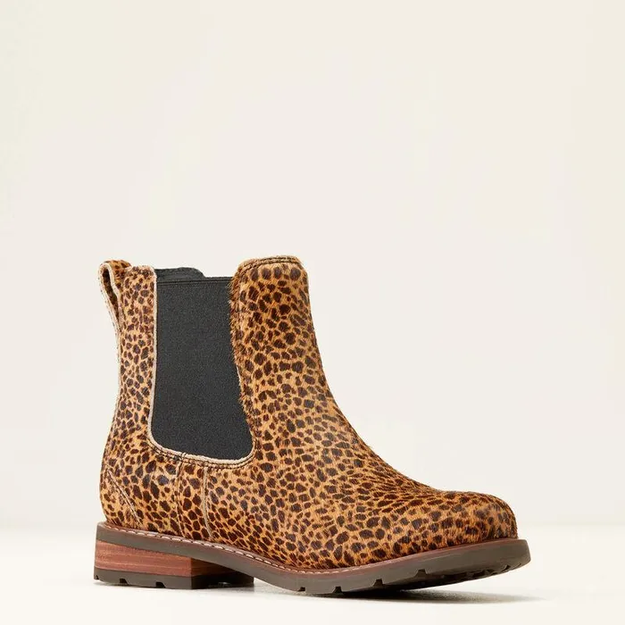Women Fashion Boots Ariat Wexford Chelsea Boot Cheetah Hair On Women Fashion Boots Ariat Wexford Chelsea Boot Cheetah Hair On