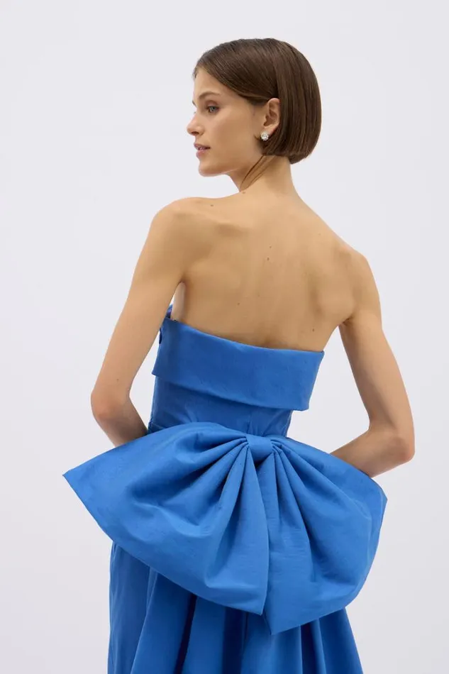Women Maxi Dresses Rachel Gilbert BIRDIE GOWN Women Maxi Dresses Rachel Gilbert BIRDIE GOWN