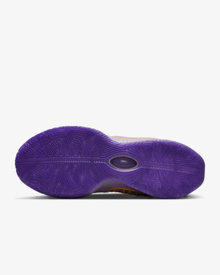 WomenMen Nike All Shoes LeBron XXI 039Freshwater039 Violet Dustpurple Cosmosuniversity Gold