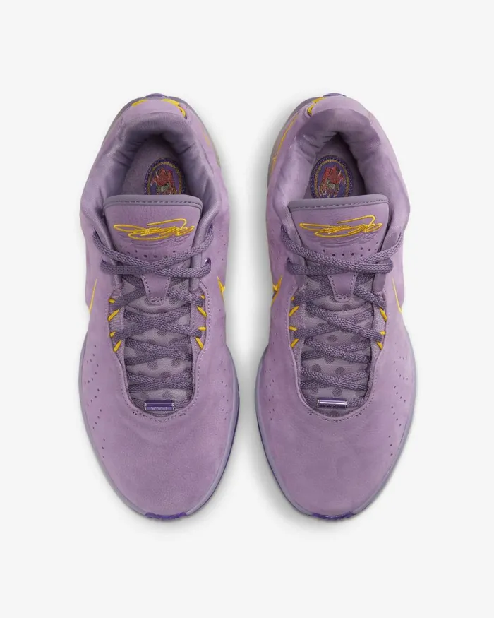 WomenMen Nike All Shoes LeBron XXI 039Freshwater039 Violet Dustpurple Cosmosuniversity Gold